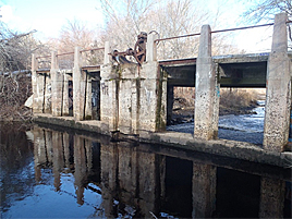 Buzzards-Bay-Coalition-Horseshoe-Mill-Dam-th