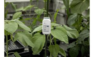 MX2310-application-greenhouse-01_iouQsQ